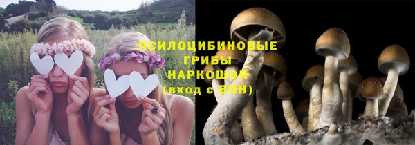 прущая мука Богородск