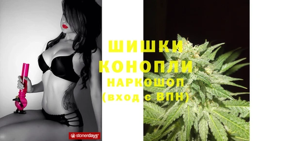 соль ск Богородицк