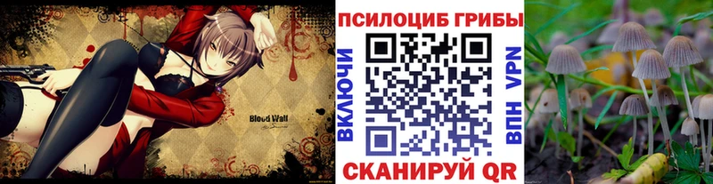 Псилоцибиновые грибы Cubensis  где найти наркотики  Оха 