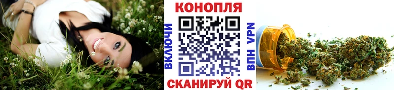 Шишки марихуана Bruce Banner  сколько стоит  даркнет формула  Оха 